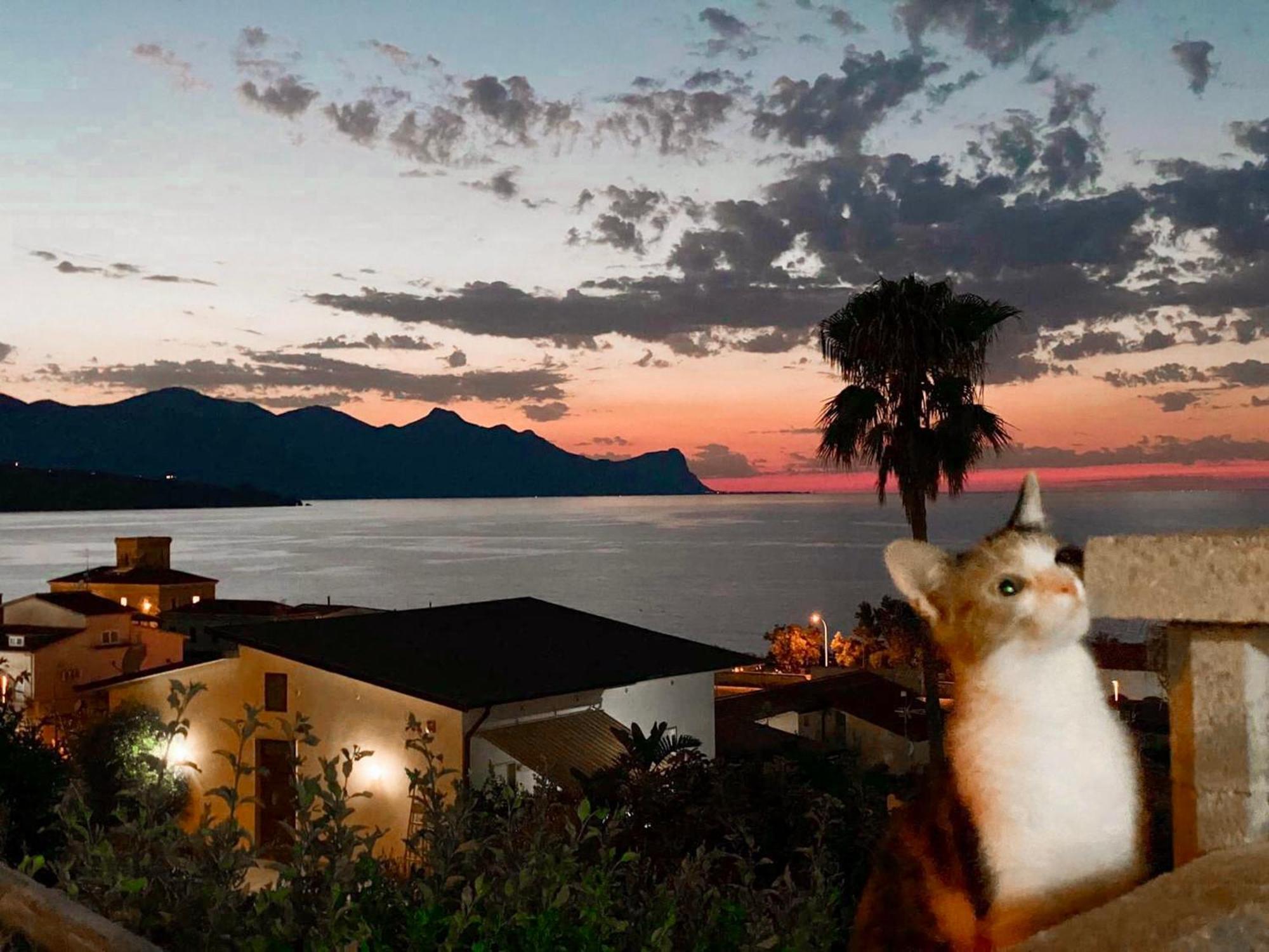 Villa Mare Giuggiola アルカモ・マリーナ エクステリア 写真